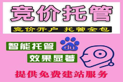 百度竞价推广运营策略调整实战案例：从失败到成功